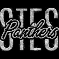 GLT95 SILVER GLITTER Thumbnail