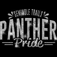 GLT62 SILVER GLITTER Thumbnail